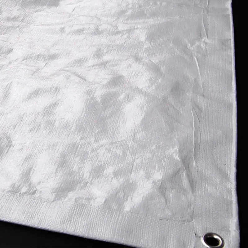 Tent Footprint vs Tarp: The Complete Guide to Camping Ground Protection