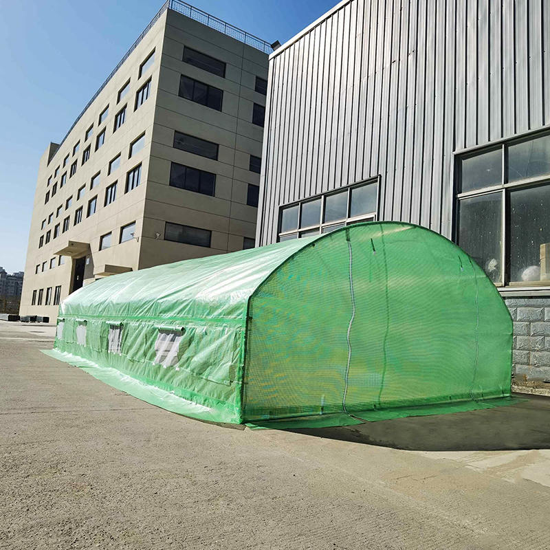 4x8x2m Foil Tunnels Roundtop High Tunnel Greenhouse