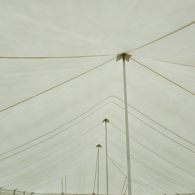 7X12m Traditional PVC Event Pole Tent with Windows