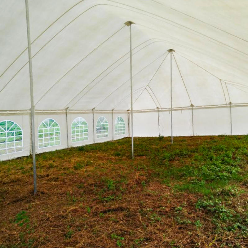 7X12m Traditional PVC Event Pole Tent with Windows